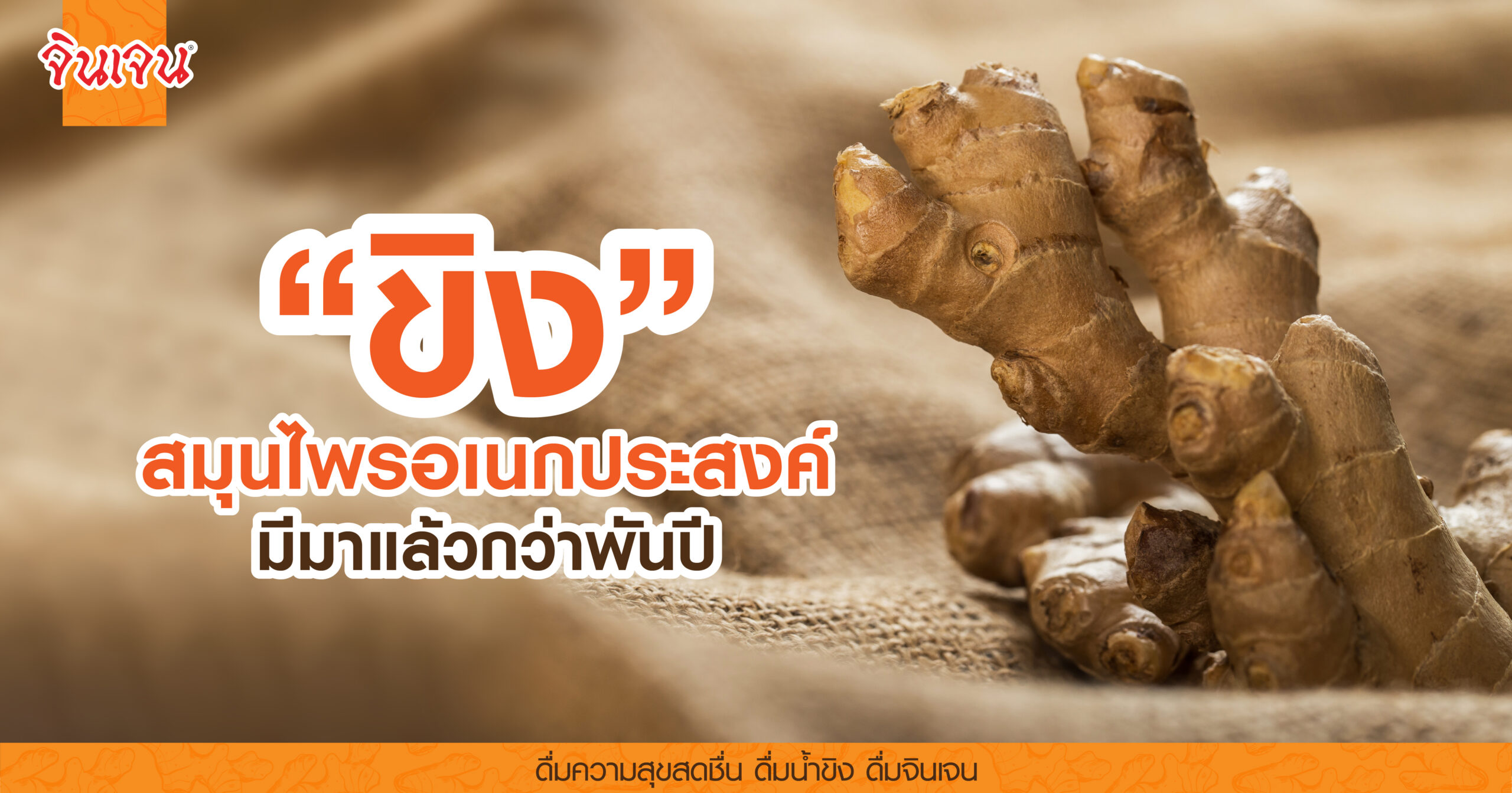 AW ginger a versatile herb-01 - น้ำขิง