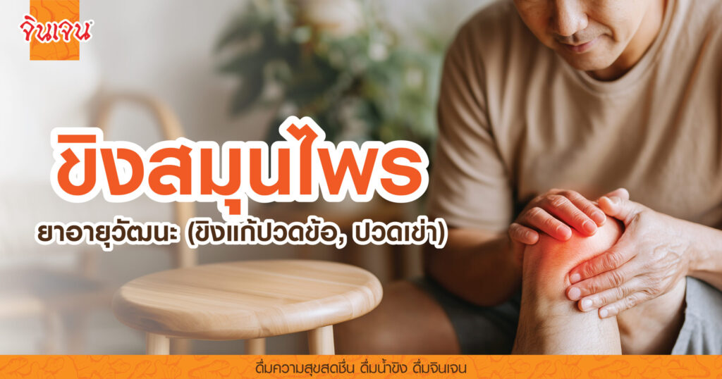 AW-ginger_bones-01-scaled - น้ำขิง