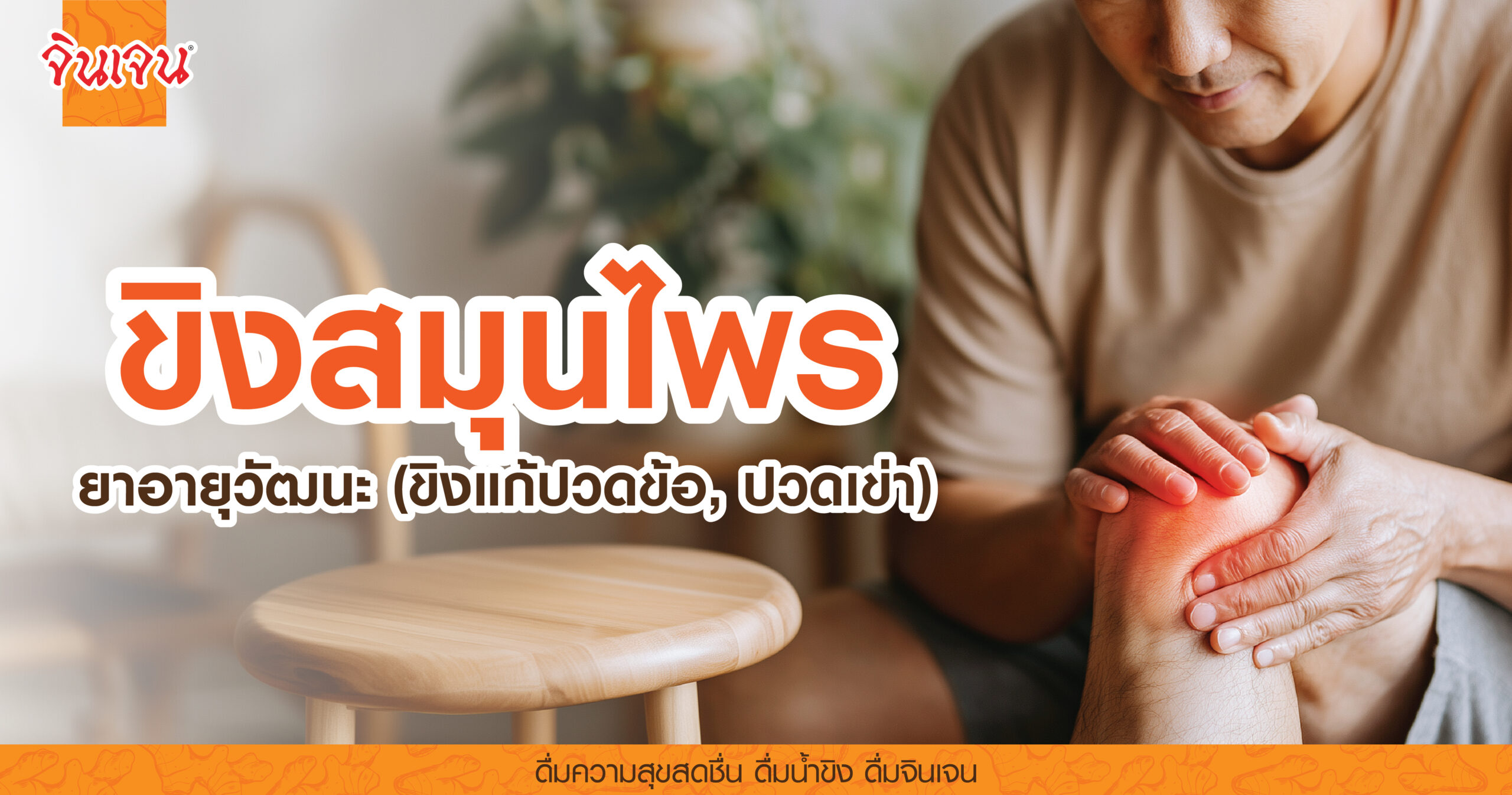 AW-ginger_bones-01-scaled - น้ำขิง