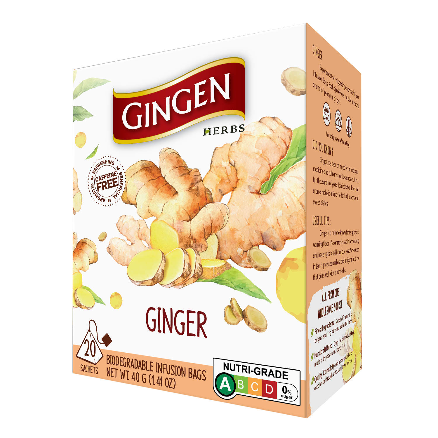 Ginger_2 - น้ำขิง